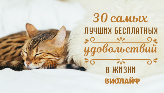 30 самых лучших бесплатных удовольствий в жизни