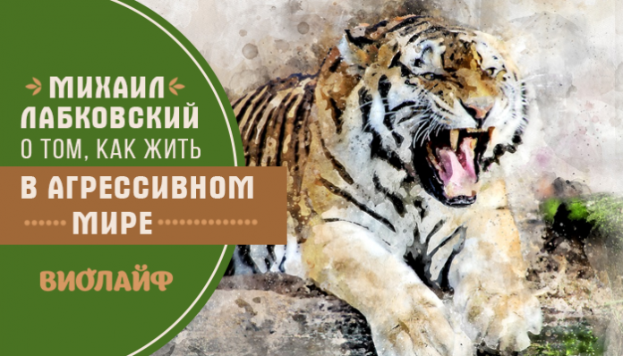 Михаил Лабковский о том, как жить в агрессивном мире