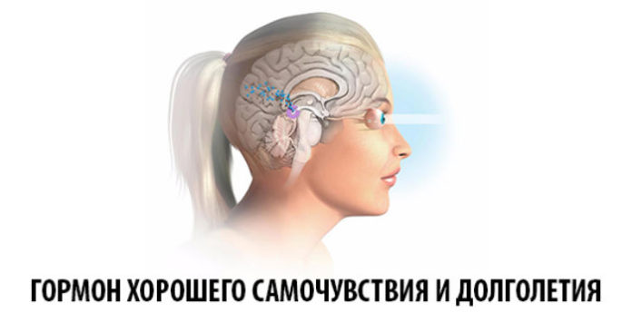 Гормон хорошего самочувствия и долголетия