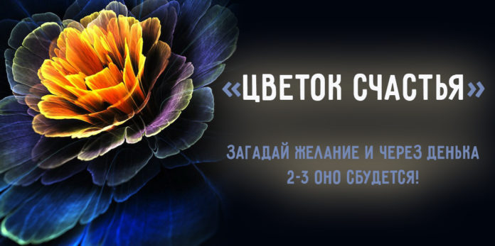 «Цветок счастья»: загадай желание, и оно сбудется