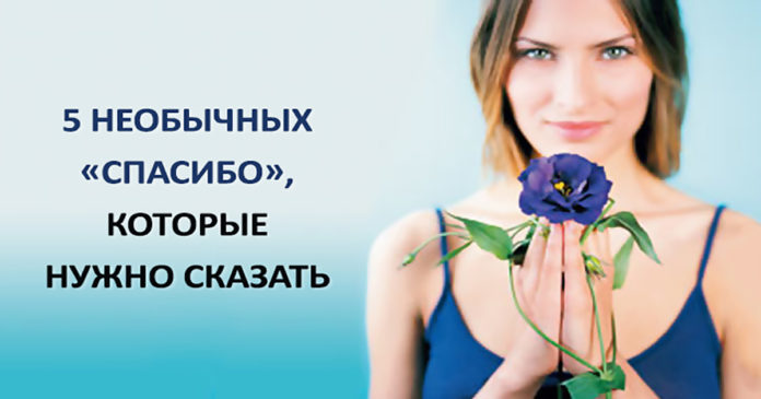 5 «спасибо», которые вы должны сказать