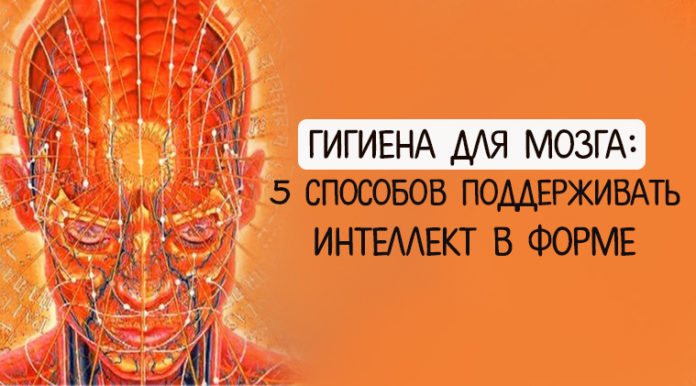 Гигиена для мозга: 5 способов поддерживать интеллект в форме