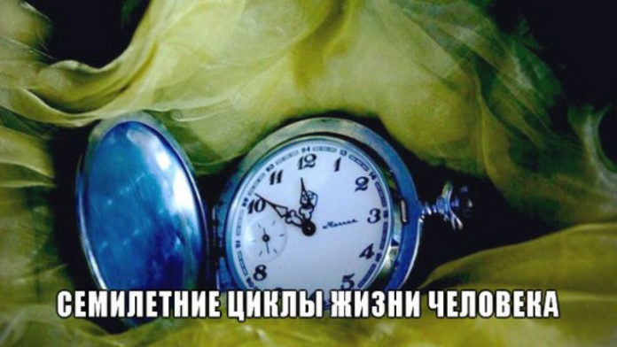 Человеческая жизнь развивается семилетними циклами