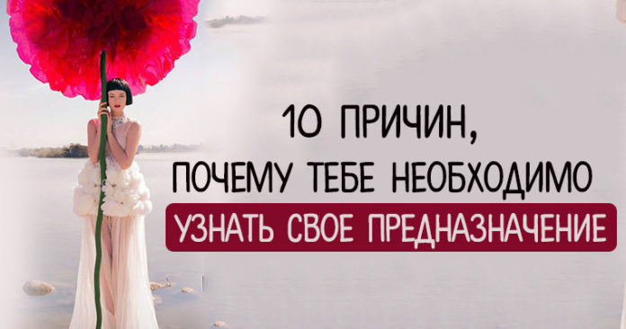 Десять причин почему тебе необходимо узнать свое предназначение